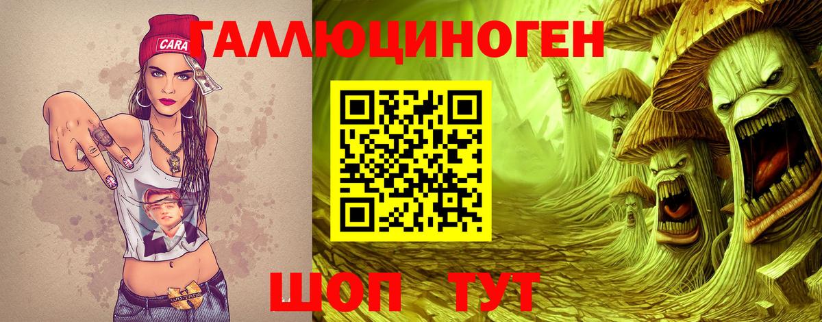 где купить наркотик  Вход с VPN  Братск  Галлюциногенные грибы GOLDEN TEACHER 